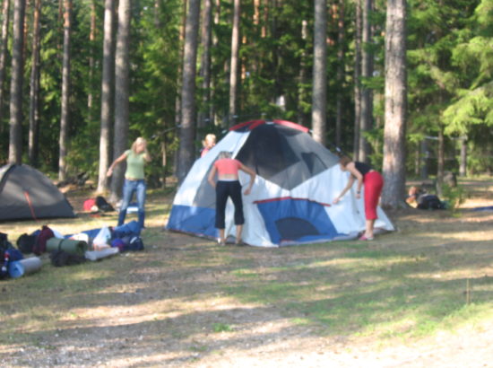 Koopia üksusest Picture 137